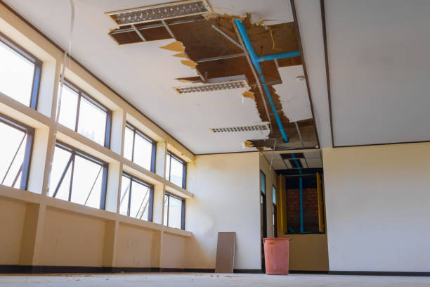 Best Ceiling water damage repair  in Andale, KS