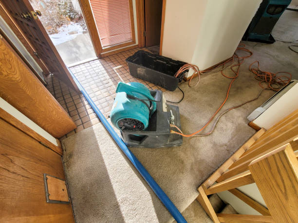 Best Water damage restoration cost  in Andale, KS