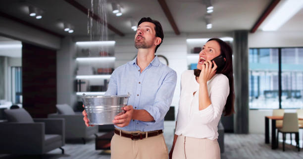 Best Flood restoration services  in Andale, KS